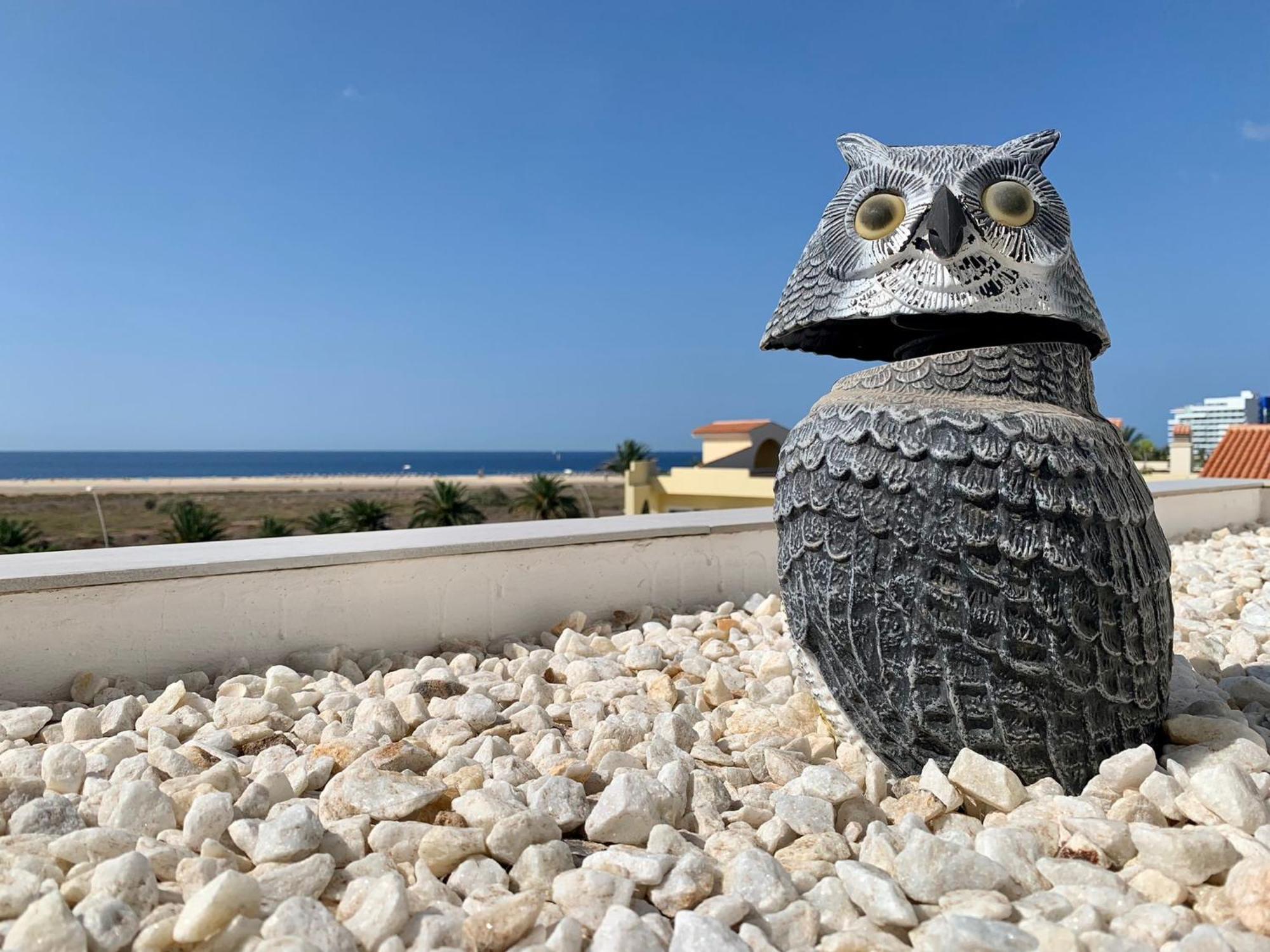 Vivienda Gorrion Διαμέρισμα Morro Jable  Εξωτερικό φωτογραφία